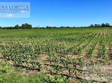 Campo · 170000ha · Campo 17 Ha en Venta Navarro