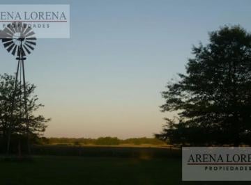 Campo · 250ha · 3 Ambientes · Campo en Villa Espil