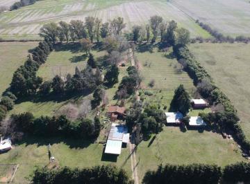 Campo · 576ha · Venta Chacra 5,5 Ha con Casas y Caballerizas