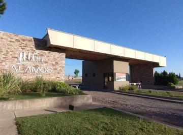 Terreno · 500m² · Venta Lote Barri Privado Los Álamos