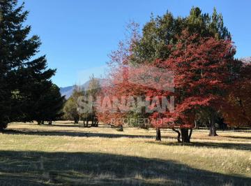 Campo · 10000m² · Venta Excelente Chacra en Mascardi - Bariloche