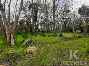 Terreno · 300m² · Terreno en Isla Santiago