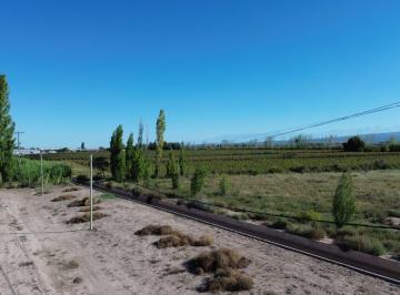 Campo · 200000m² · Venta de Finca en Agrelo