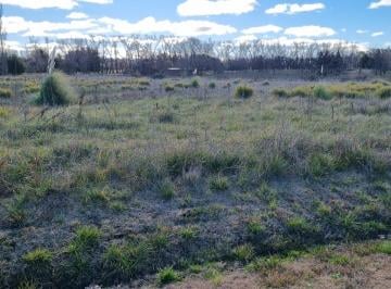 Terreno , San Miguel del Monte · Chacras en Benquerencia Farm Club – 2 Lotes Juntos, 5 Hectáreas – Dueño Directo