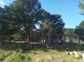 Terreno , Mar del Plata · Terreno con Edificación y Servicios, Bosque y Mar