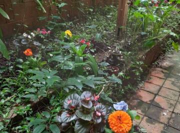 Patio con gran cantero · Excelente Departamento Amplio