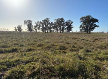 Campo · 450000ha · Campo en Venta a 9 Km de La Ruta N°3, Ciudad de Las Flores