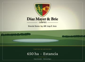 Campo · 6500000ha · Campo en Venta a 26 Km de La Ruta N°86, Necochea