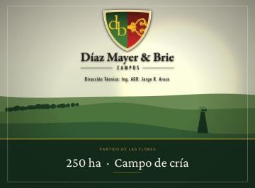Campo · 2500000ha · Campo en Venta a 30 Km de La Ciudad de Las Flores