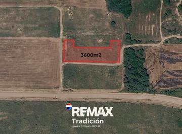 Terreno · 3600m² · Venta de Terreno Charata Chaco
