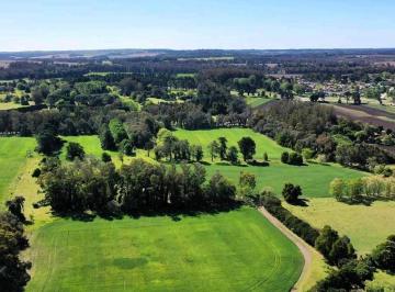 Campo · 750000ha · Venta de Campo de 75 Hectáreas - Ruta 88 Km 14,5 - Mar del Plata