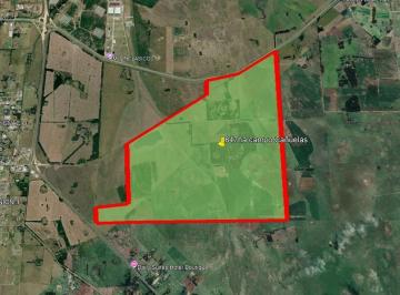 Campo · 847ha · Venta Campo de 900ha en Cañuelas - Ideal Desarrollo Inmobiliario