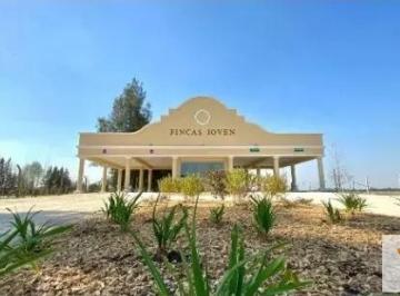 Terreno · 650m² · Terreno en Venta - 650 m² - Finca Joven