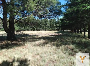 Terreno · 5492m² · Terreno en Venta - 5.492 m² - Tornquist