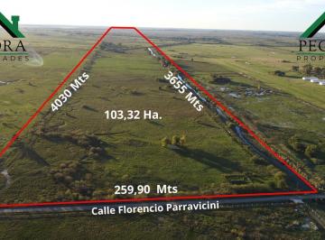 Campo · 1033263m² · Campo 103,32 Ha - Terreno - Escobar - Juan Mermoz y Florencio Parravicini