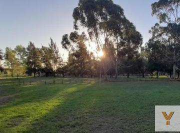 Terreno · 900m² · Terreno en Venta - 900 m² - Abasto, La Plata