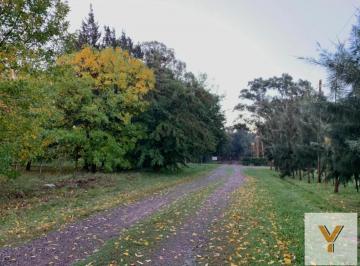 Terreno · 890m² · Terreno en Venta - 900 m² - Abasto, La Plata