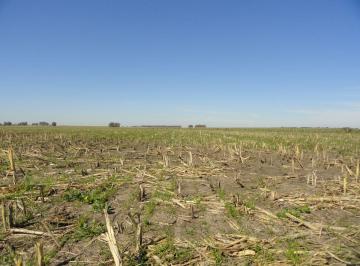 Campo , Gualeguaychú · Campo de 90 Ha en Venta en Gualeguaychú, Sobre Ruta