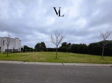 Terreno · 822m² · Terreno en Venta en San Francisco, Villanueva