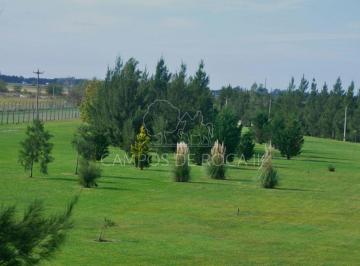 Terreno , Brandsen · Lote Campos de Roca II