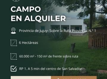 Campo · 250ha · 4 Ambientes · Campo en Alquiler con Casa