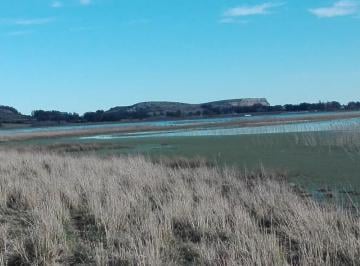 Campo · 106m² · Campo de 109 Ha con Laguna Natural
