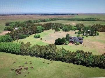 Campo · 3360000ha · Campo en Ruta 11, Km 360