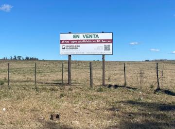 Campo · 210000ha · Campo en Mar del Plata