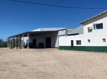 Bodega-Galpón · 3139ha · Galpón en Mar del Plata