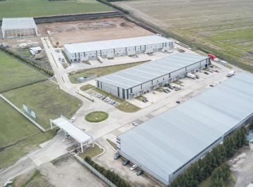 Bodega-Galpón · 441m² · Galpón en Polo 226, con Renta