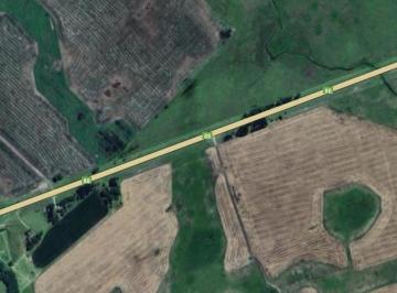Campo · Campo en Ruta 88
