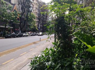 Departamento · 70m² · 3 Ambientes · Departamento en Alquiler de 2 Dorm. en Palermo