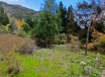 Campo · 75000ha · Chacra en Ruta 40 Norte