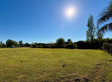 Terreno · 1238m² · Venta Terreno en Puerto Roldan Lote 337