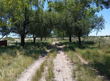 Campo , San Francisco del Chañar · Excepcional Campo Ganadero!