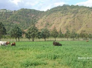 Campo · 2800m² · 2 Dormitorios · Venta Campo - Santa Clara