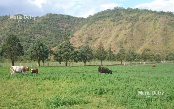 Campo · 2800m² · 2 Dormitorios