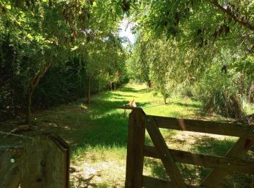 Terreno , San Carlos · Bellisimo Terreno a Orillas del Arroyo San Carlos