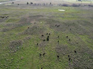Campo , Punta Indio · Campo en Venta en Punta Indio