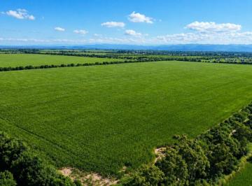 Campo · 31ha · Venta Terreno 31 Ha Ideal Loteo Unquillo