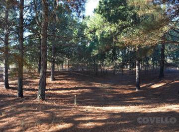 Terreno · 3000m² · Terreno en Barrio Privado Médanos de Punta Gorda Casa Chic