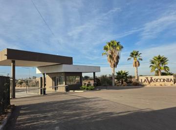 Terreno , Maipú · Se Vende Lote B° La Vasconia