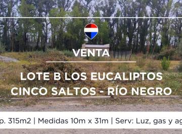 Terreno · 315m² · Venta Lote B Los Eucaliptos Cinco Saltos