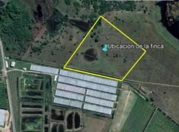 Campo · 7ha · Campo de 6,5ha en Venta en Lavalle Correintes