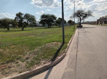Terreno · 602m² · Terreno en Venta Alqarias 2 de 602 m²