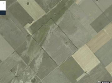 Campo , Salto · Campo Agricola de 54 Ha en Salto - Suelos Clase I y II