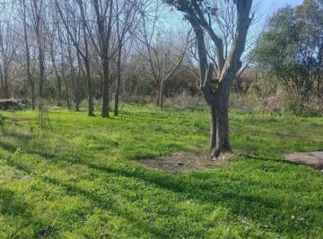 Terreno · 19000m² · Terreno en Los Talas - 19.000 m.
