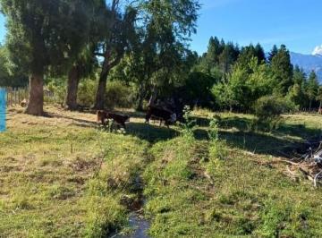 Terreno en Venta · Propiedad Privada - Chacra