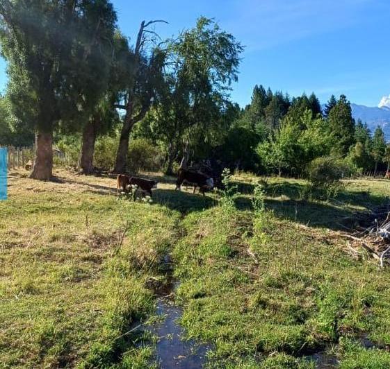 Terreno · 38000m²