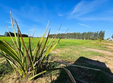 Terreno · 300m² · Terreno 300 m² en Ecolagos - Escritura - Apto Crédito - Todos Los Servicios